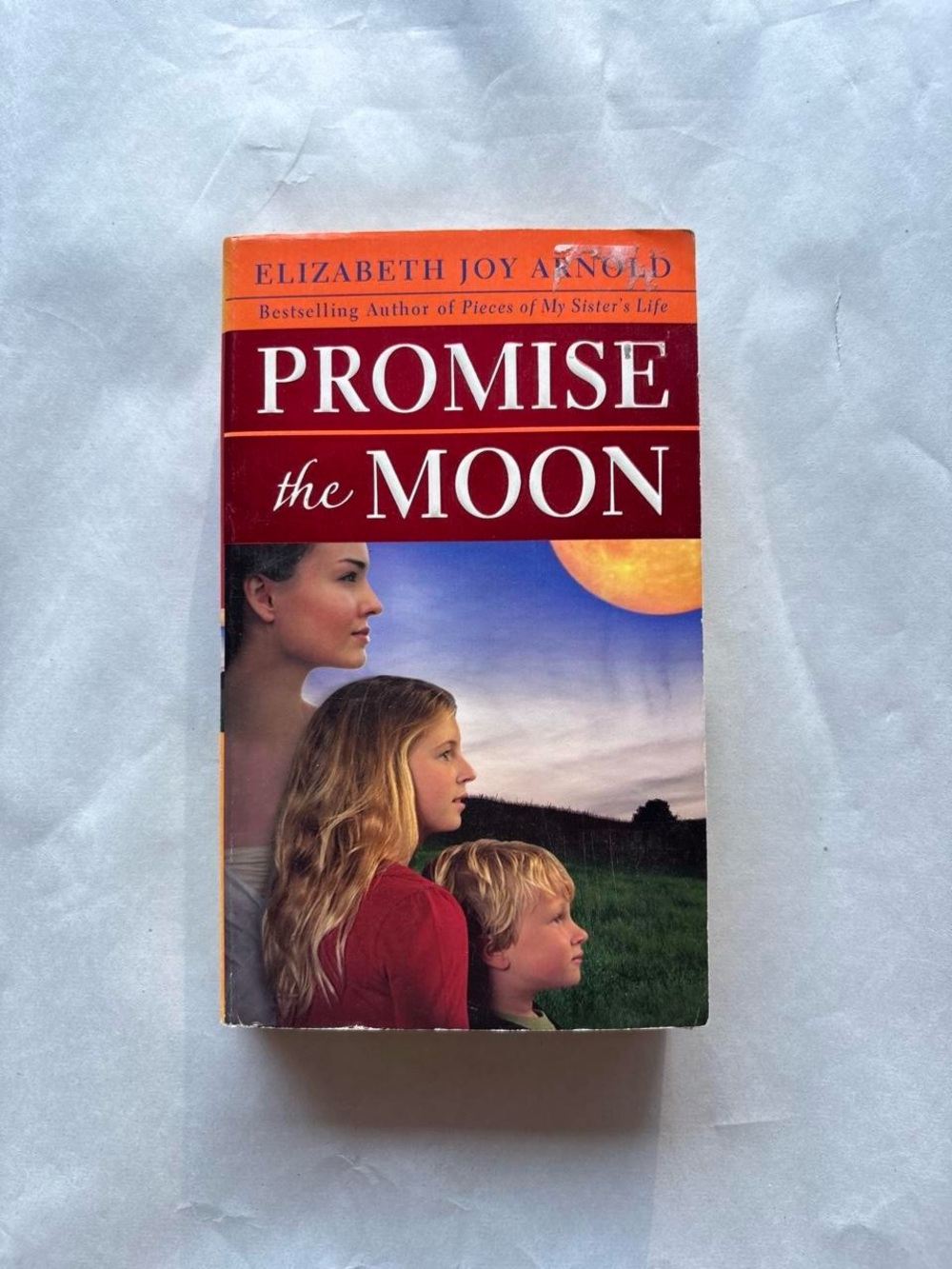 Promise the Moon by Elizabeth Joy Arnold